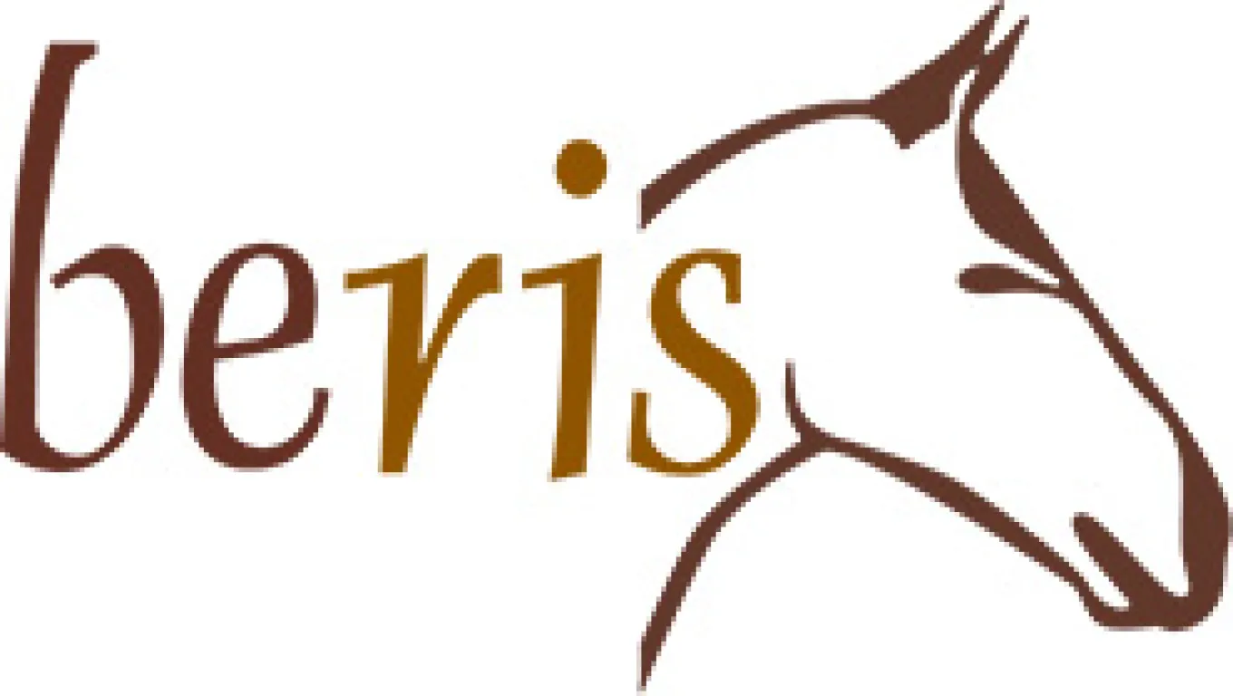 beris Unterlegtrense, Einfach gebrochen, Ring 6cm