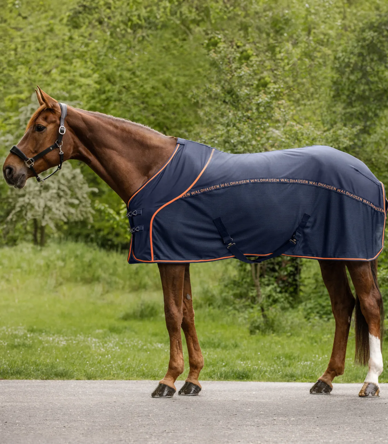 Cooler Fliegen-Sommerdecke