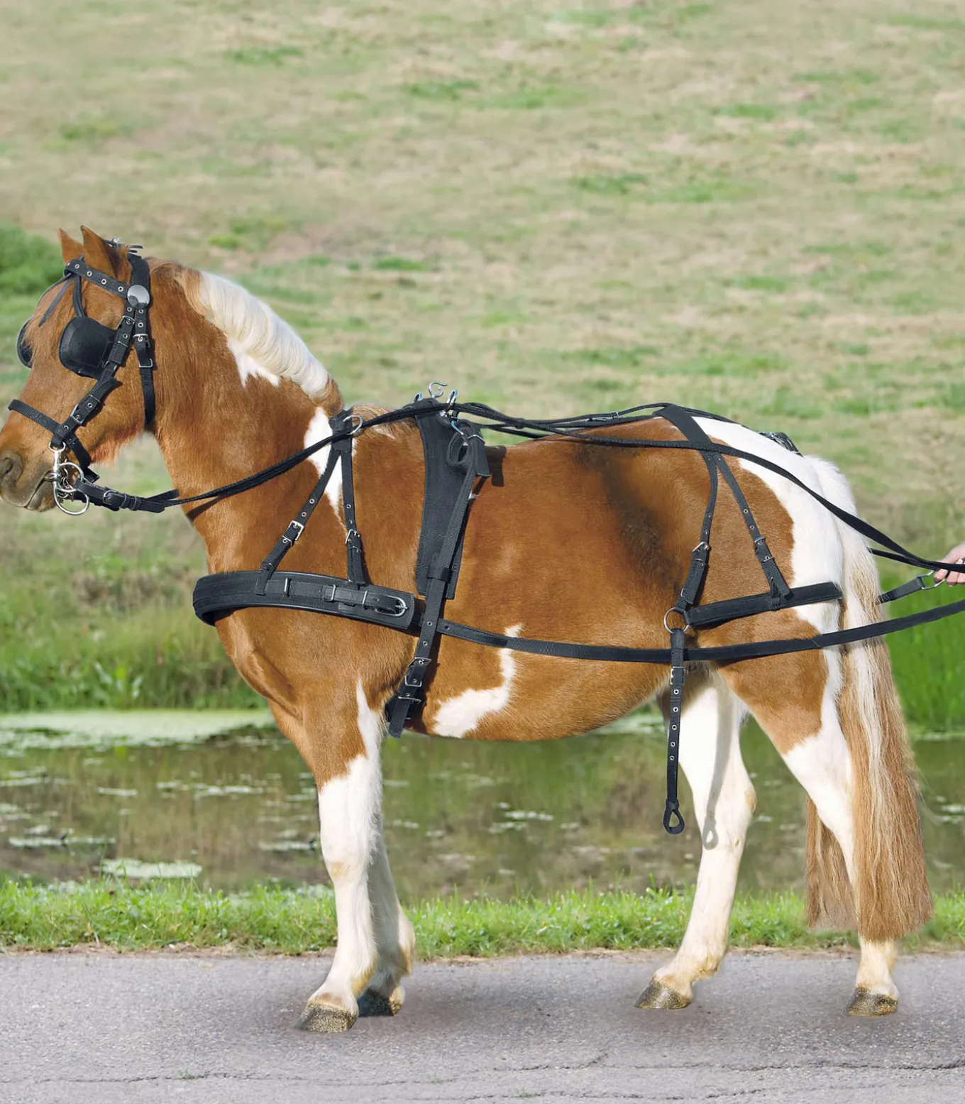 Einspänner Synthetikgeschirr, Pony und Shetty
