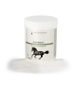 Elektrolyt - Regeneration und Leistungserhalt, 1kg