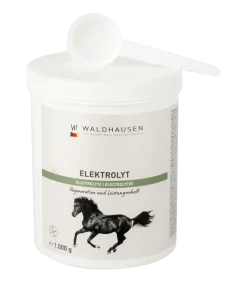 Elektrolyt - Regeneration und Leistungserhalt, 1kg