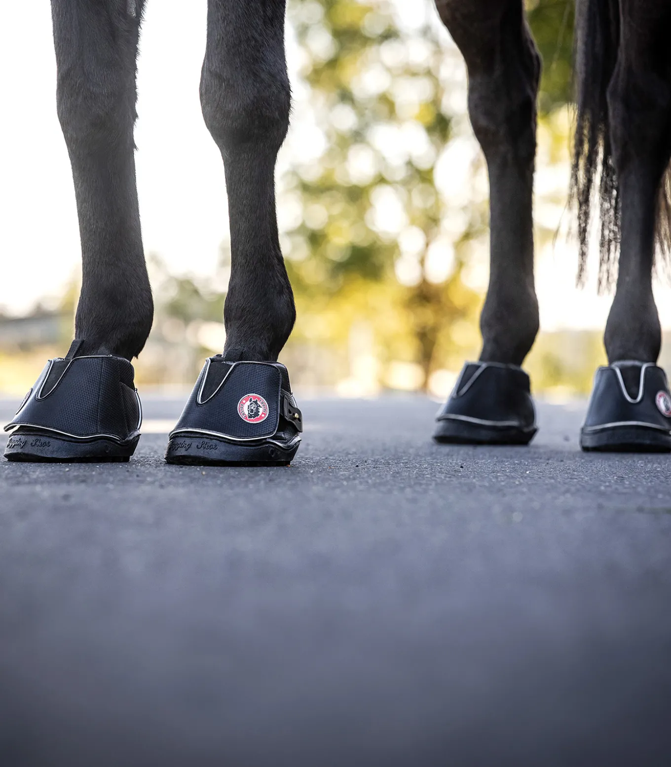 Equine Fusion® Active Jogging Shoe Slim