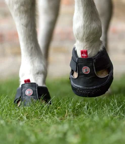Equine Fusion® Trekking Shoe