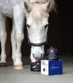 Equine Fusion® Trekking Shoe