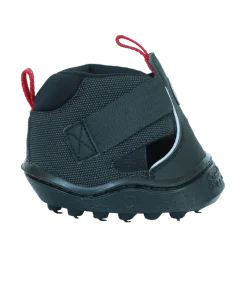 Equine Fusion® Trekking Shoe