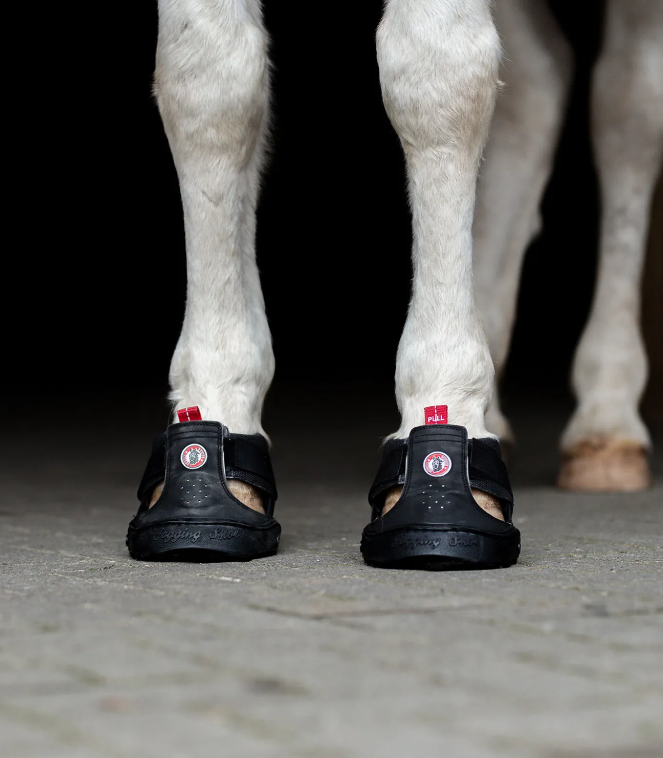 Equine Fusion® Trekking Shoe Slim
