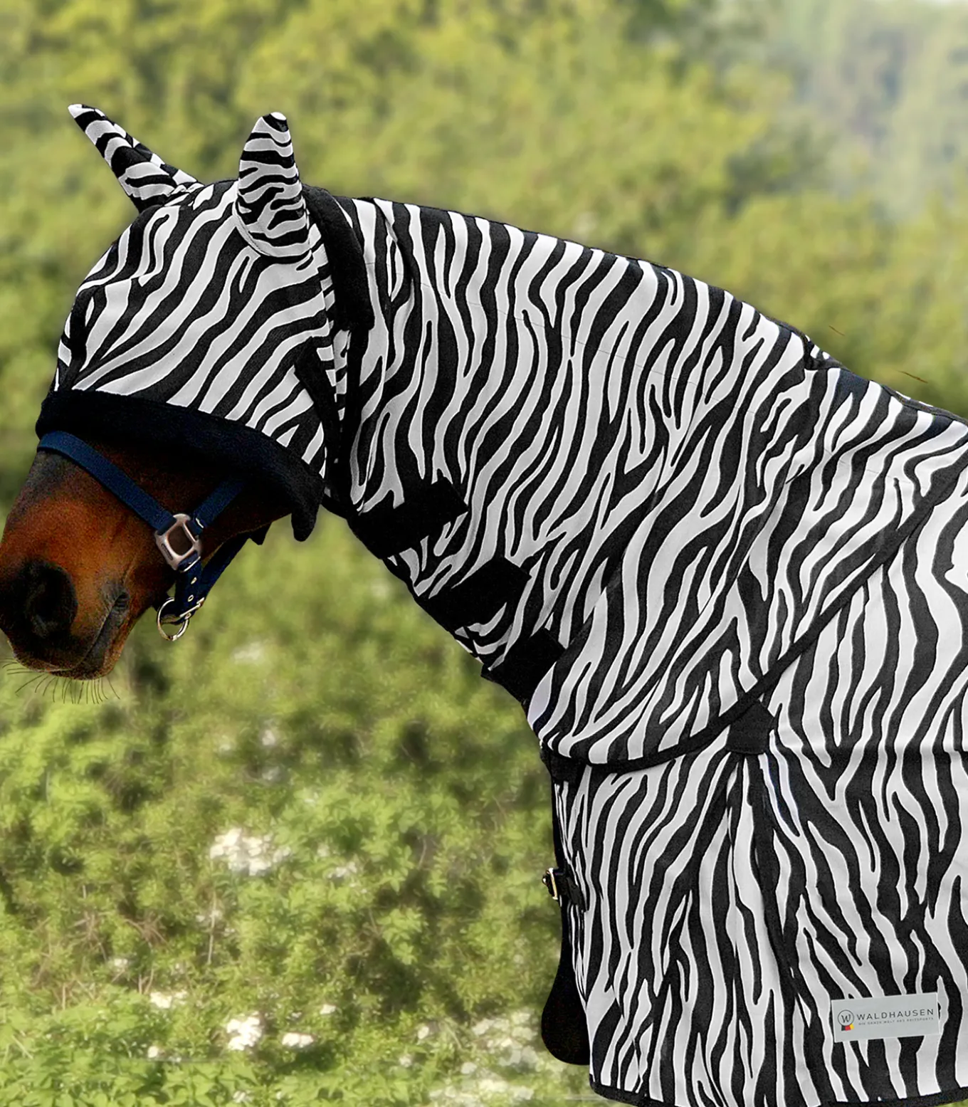 Fliegenhalsdecke Zebra