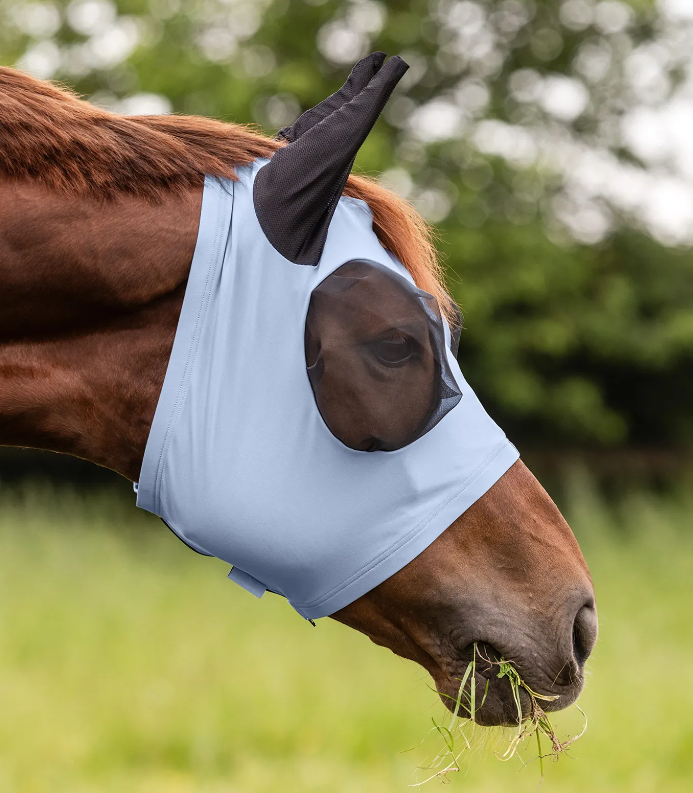 Fliegenmaske Puck