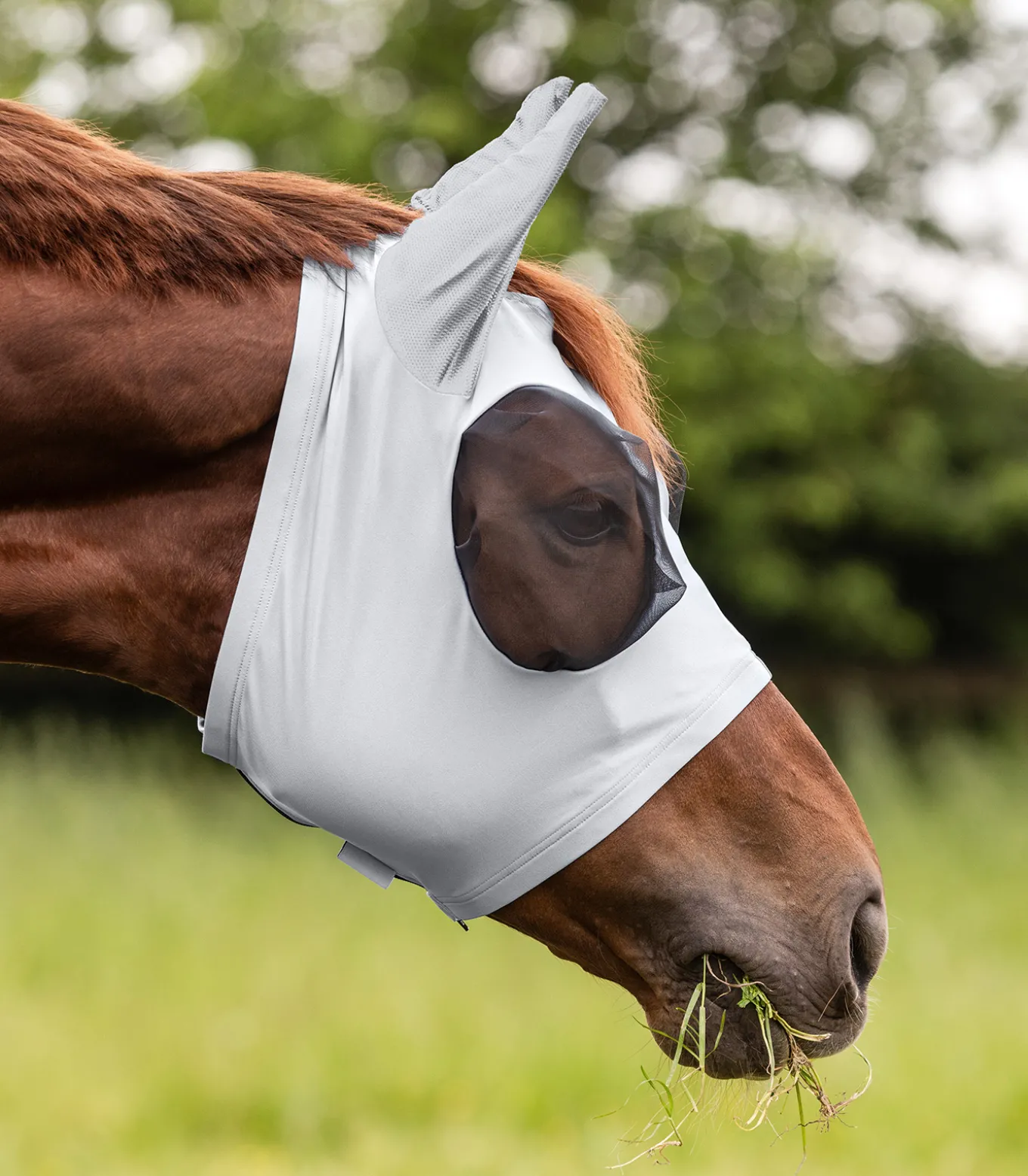 Fliegenmaske Puck
