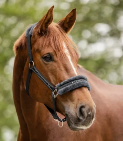 Halfter Elegant