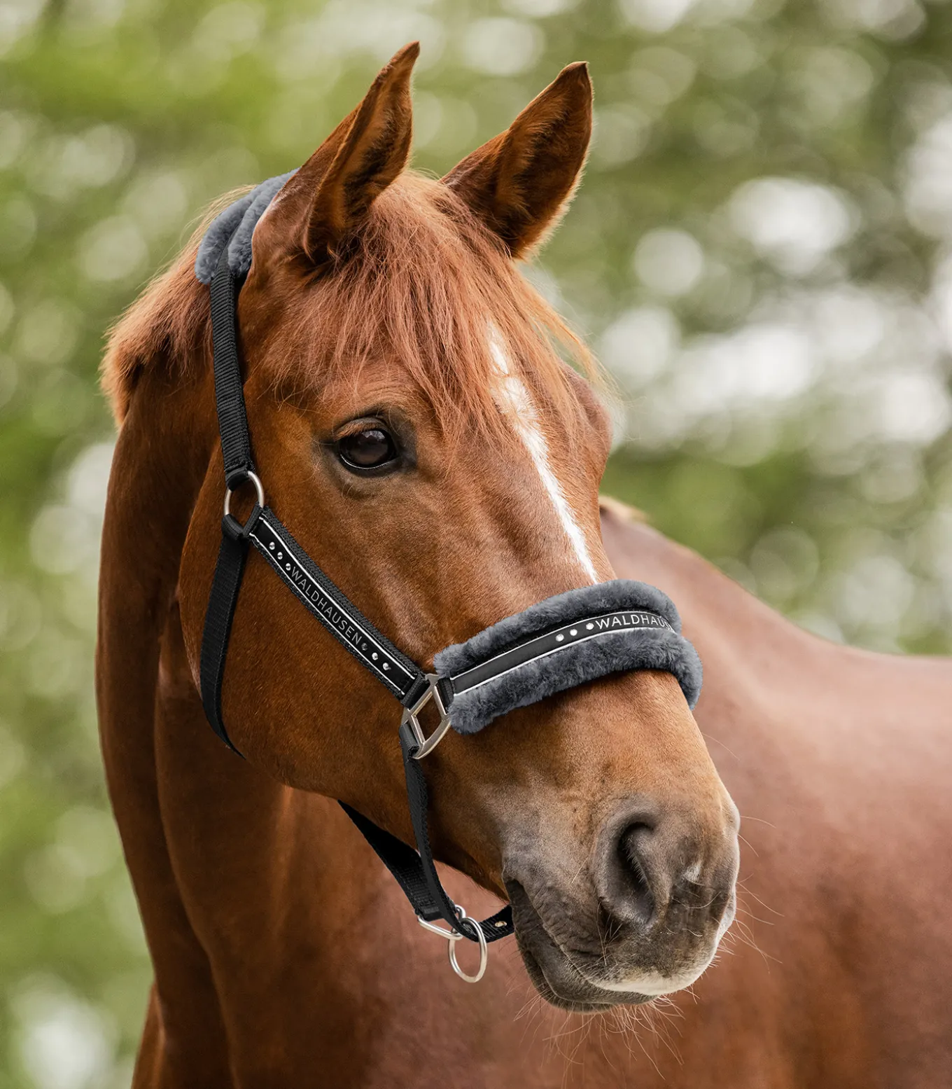Halfter Elegant