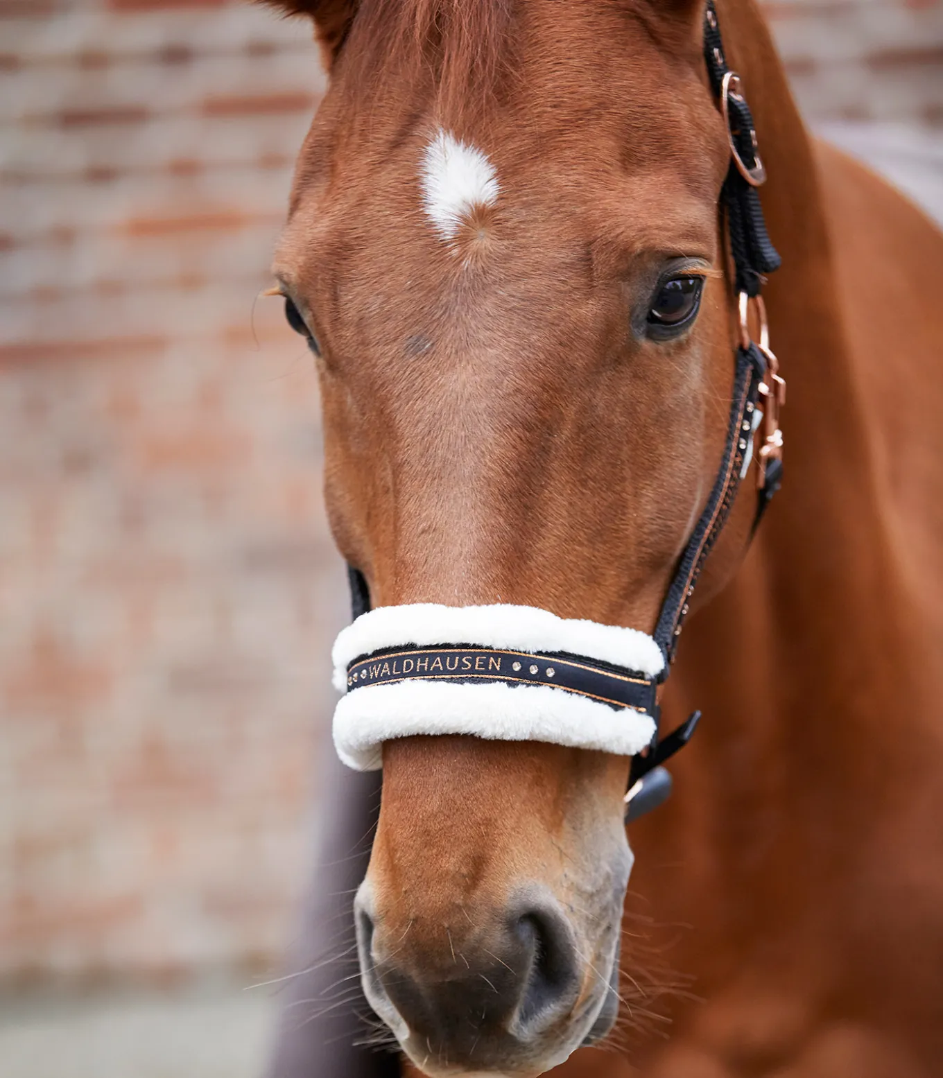Halfter Elegant