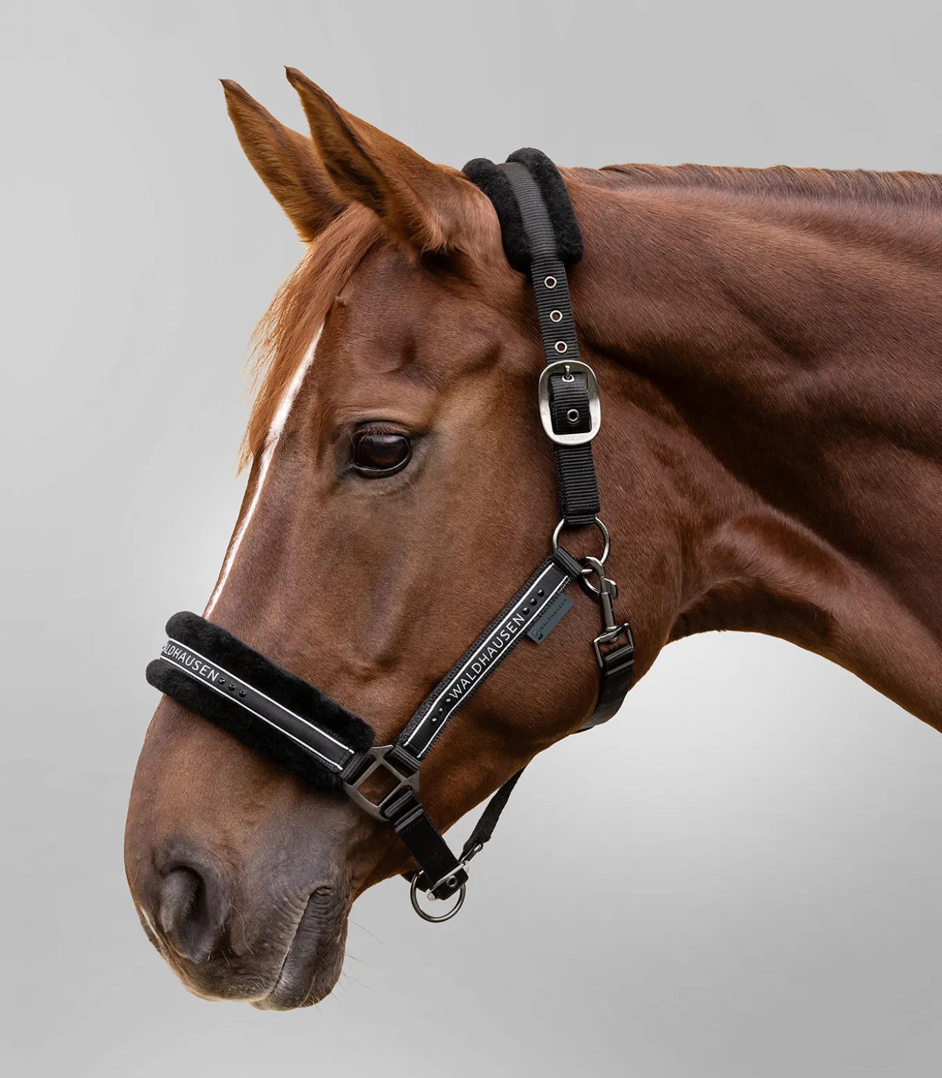 Halfter Elegant