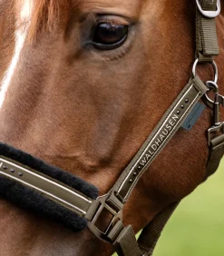 Halfter Elegant