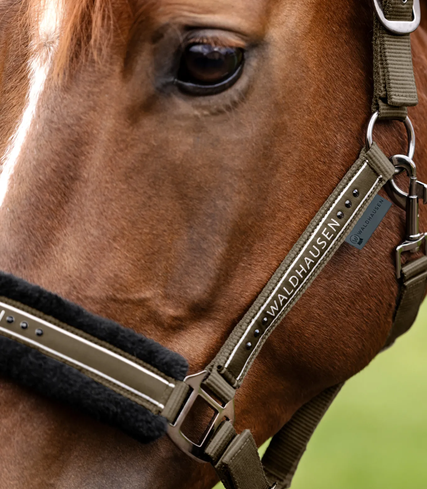 Halfter Elegant