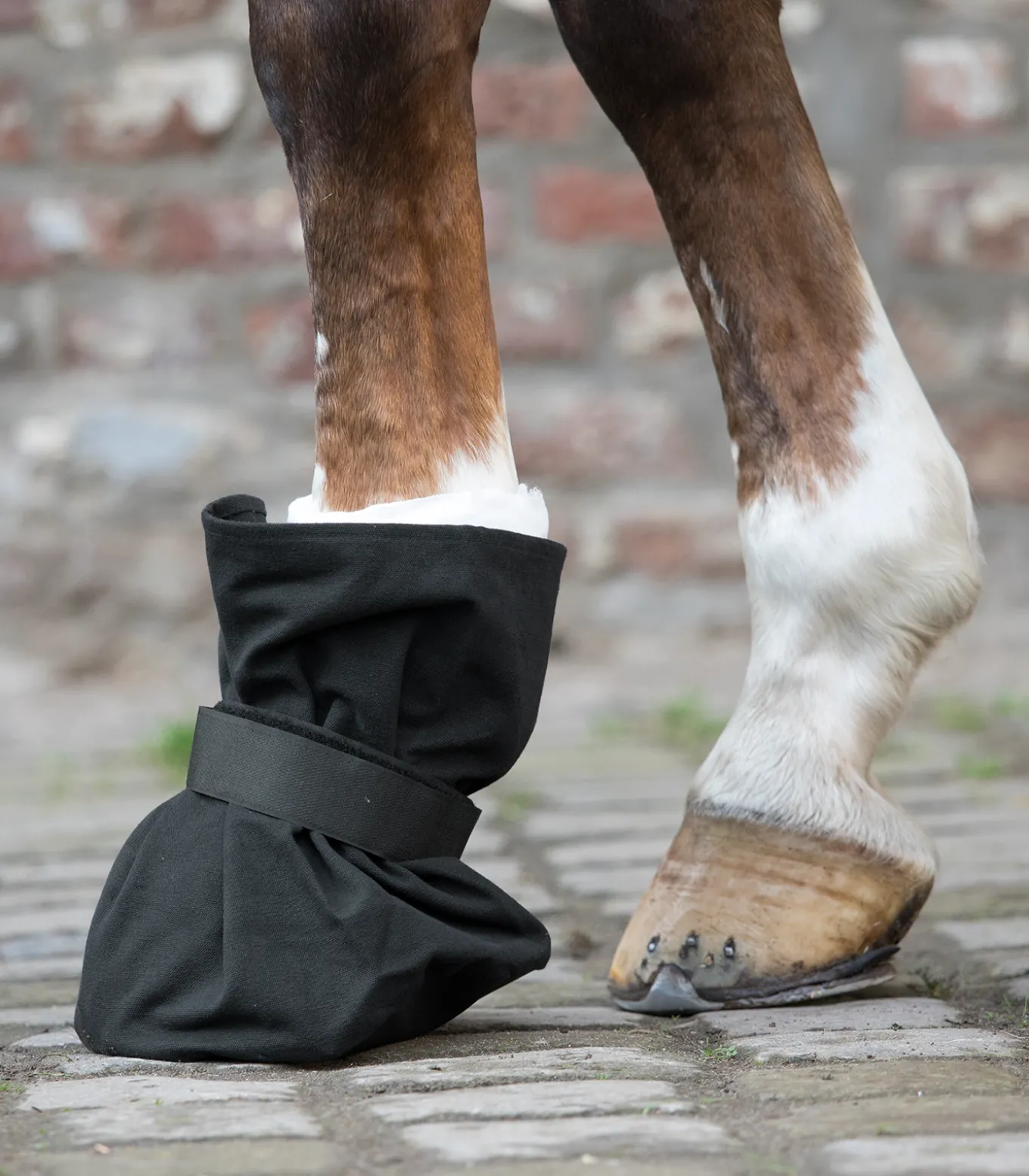 Hufverbandschutz