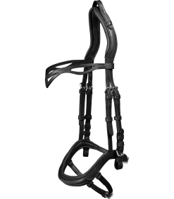 Island Trensenzaum anatomic
