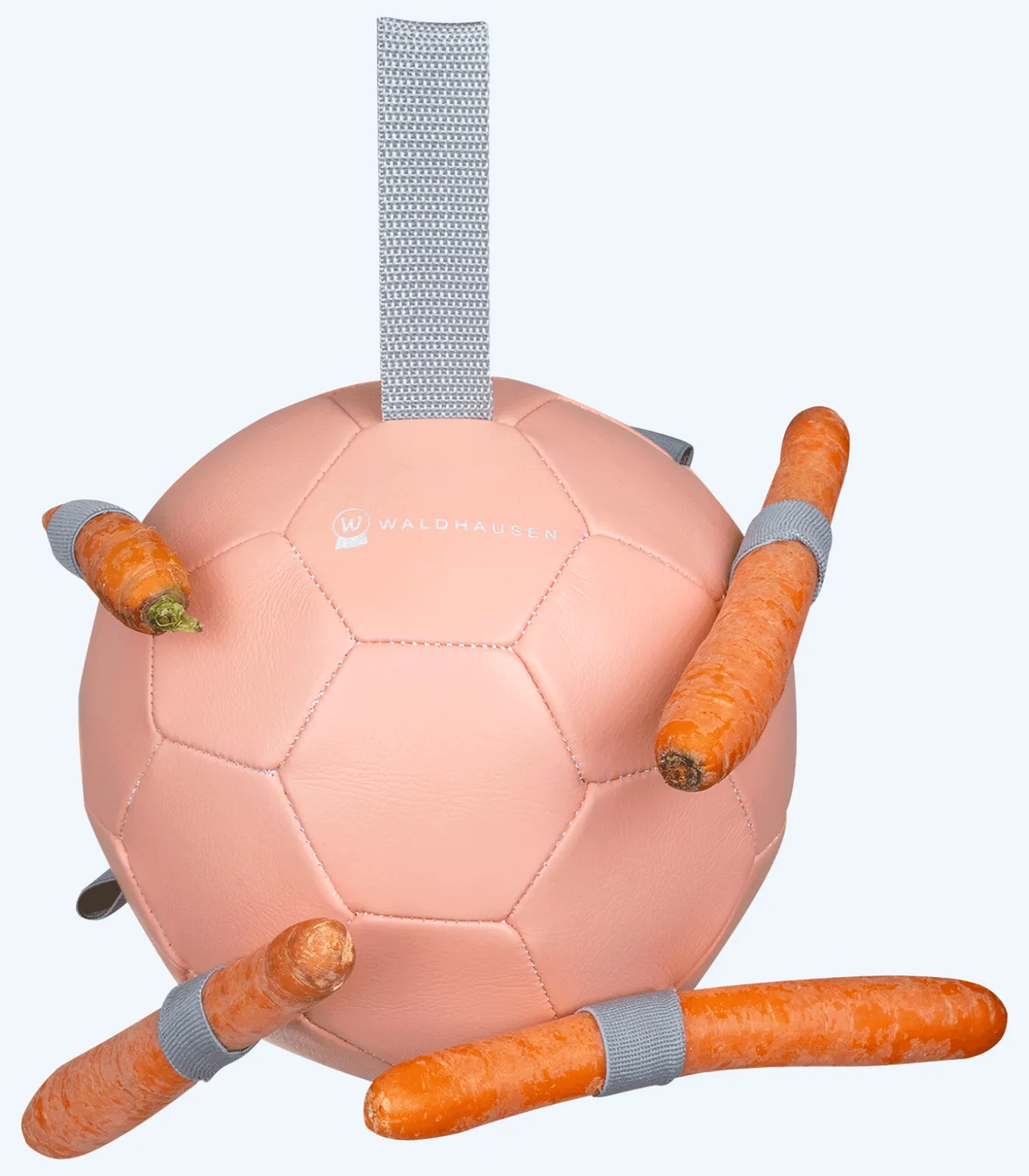 Karottenball