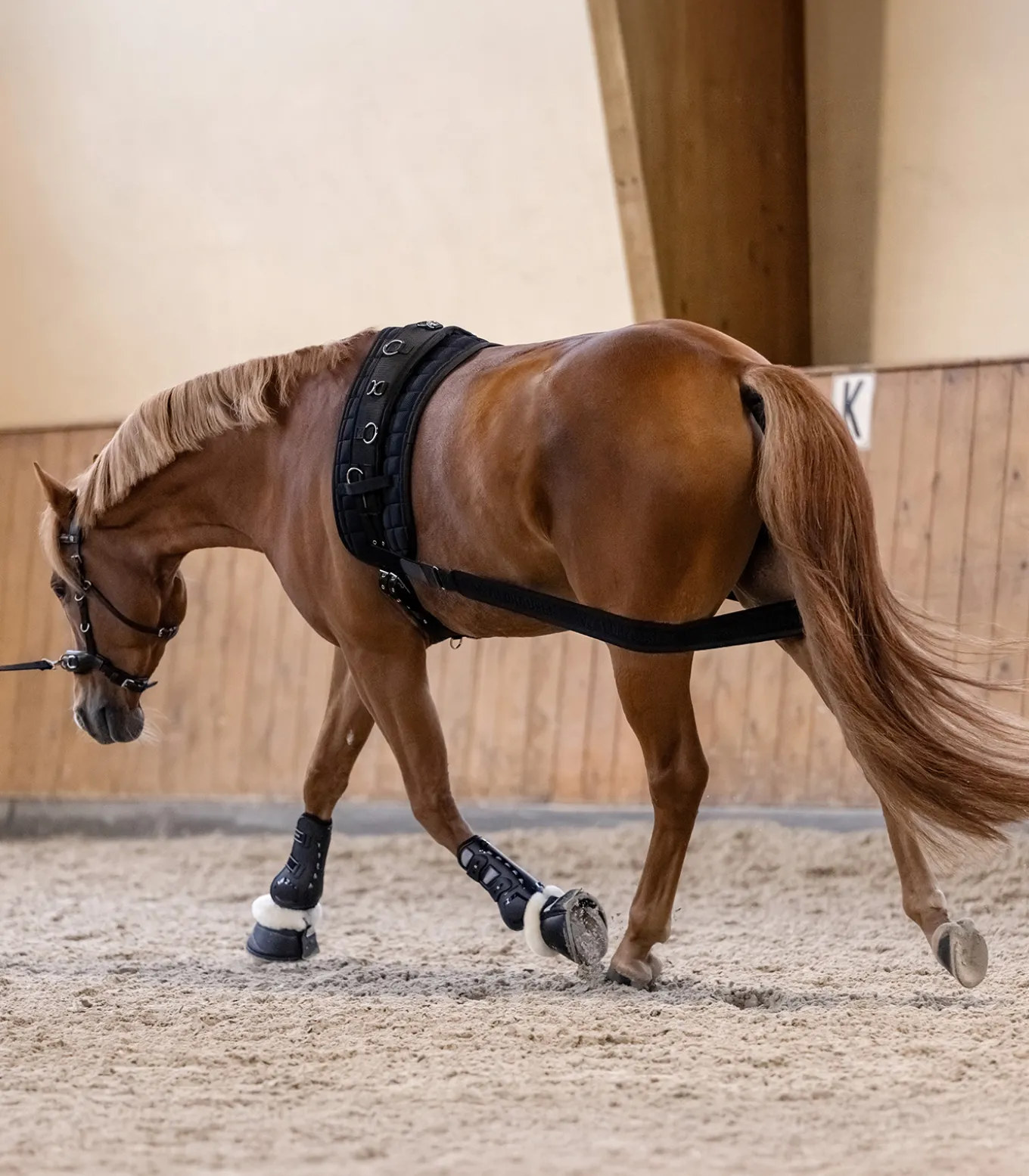 Körperbandage