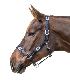Lederhalfter Polo