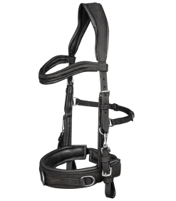Lederkappzaum anatomic