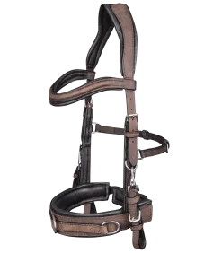 Lederkappzaum anatomic
