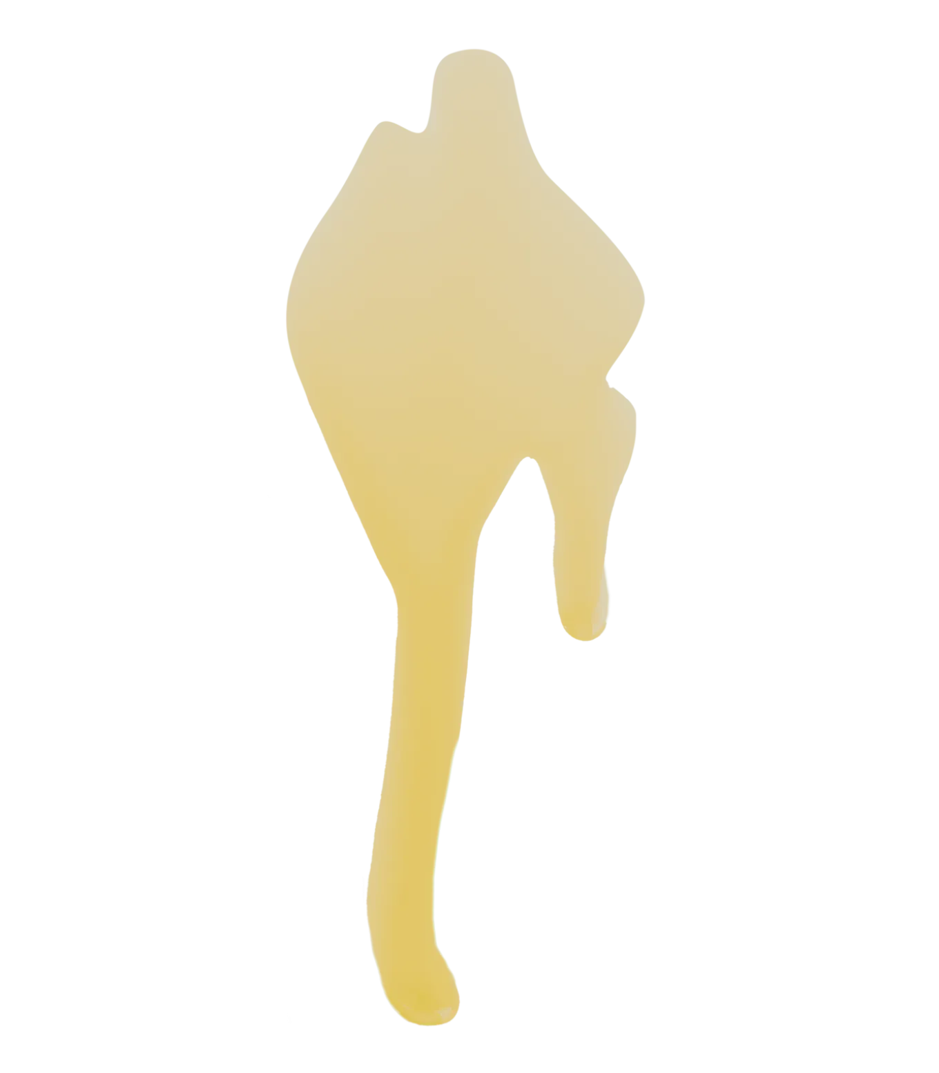 Lederöl, 1 l