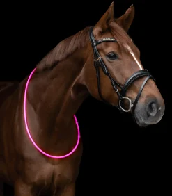 LED Leuchthalsring