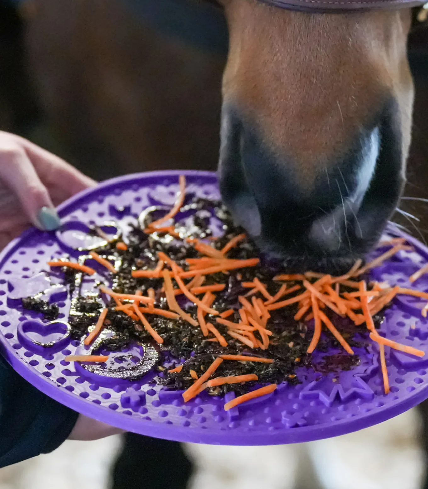 Likit Paste für Graze Maze