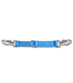 Longierbrille