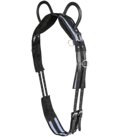 Longiergurt mit zwei Handgriffen