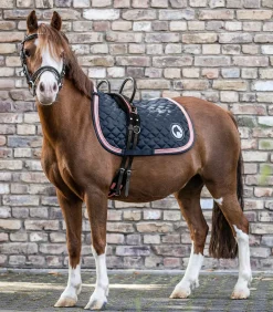 Longiergurt mit zwei Handgriffen