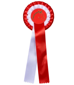 Preisschleife mit Doppelrosette