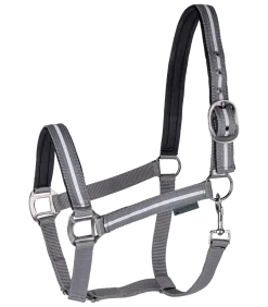 REFLEX Halfter Stripe