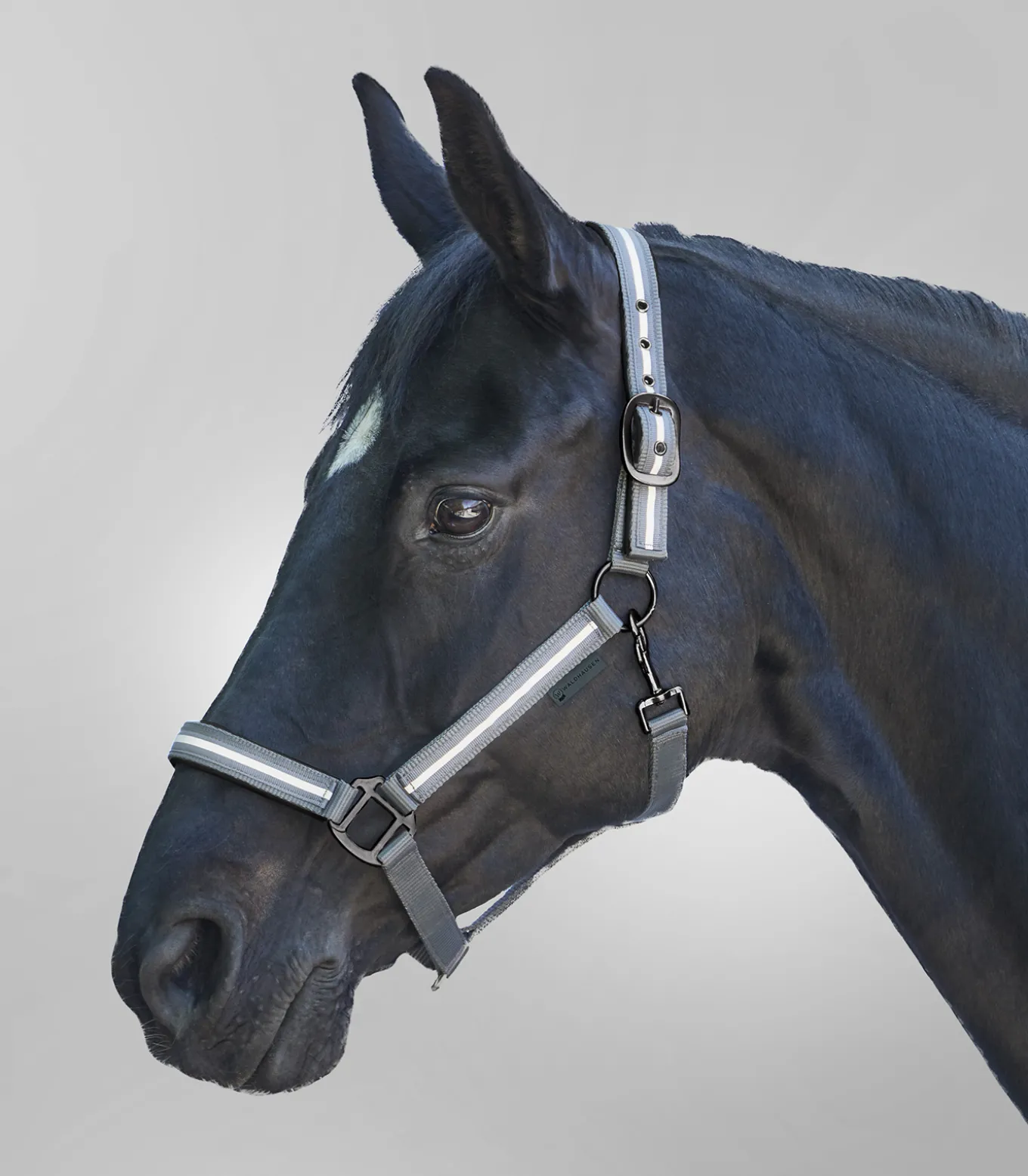 REFLEX Halfter Stripe