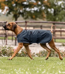 Regen-Hundedecke
