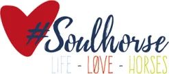 Soulhorse Lili’s #Unique-Hair Spray
