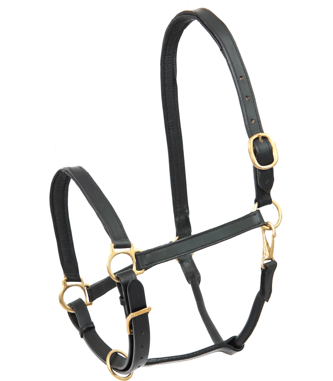 STAR Lederhalfter Robust