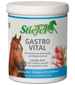 Stiefel Gastro Vital 1kg