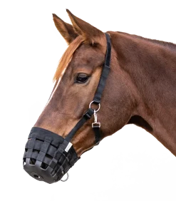 Weide-Maulkorb